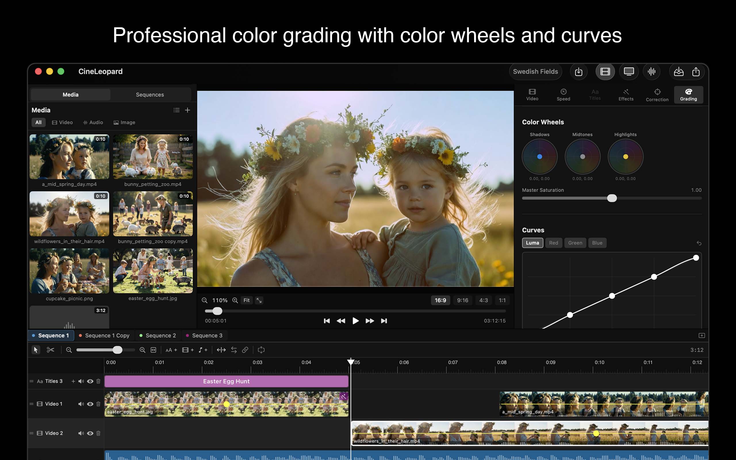 Professional color grading with color wheels and curves