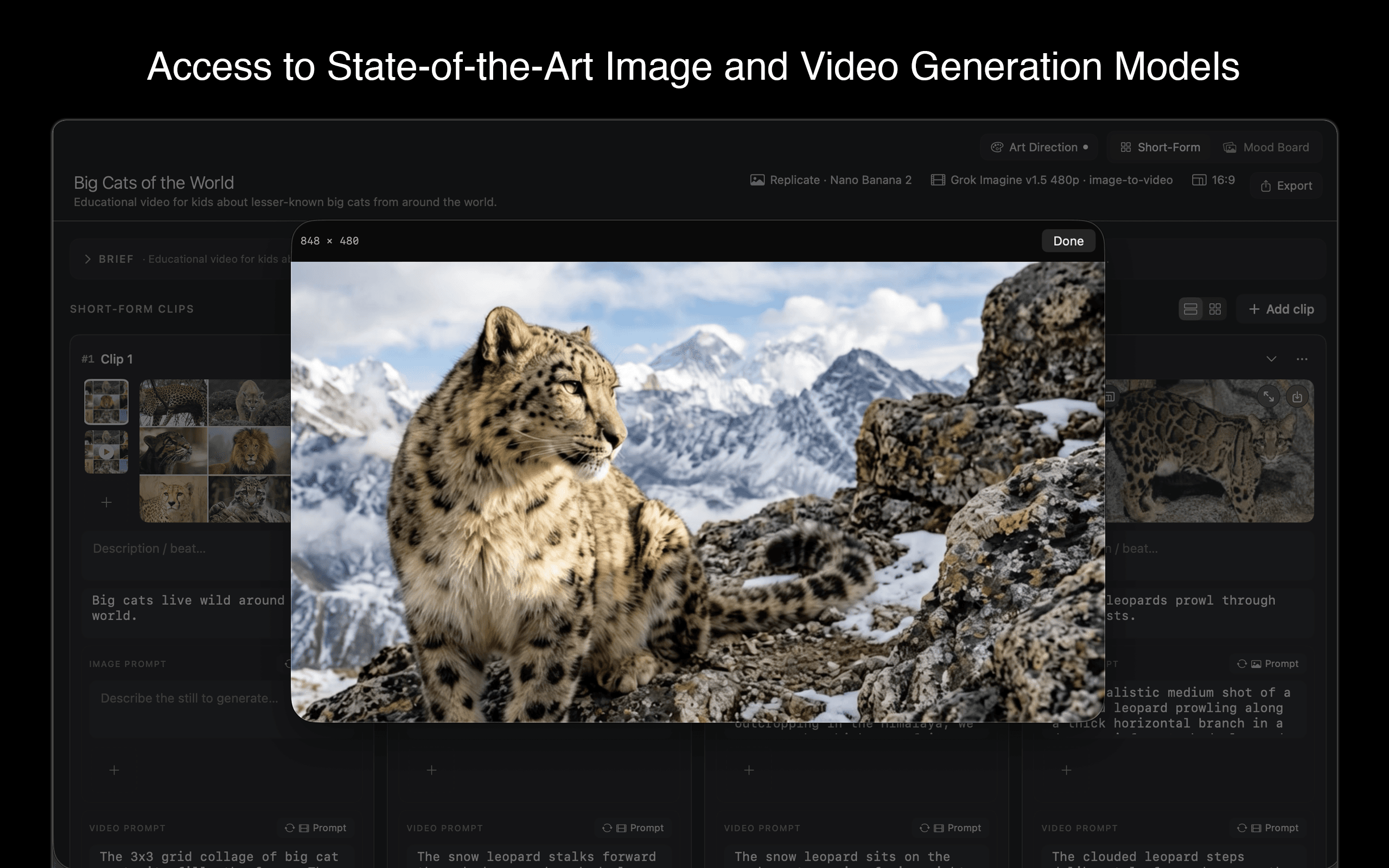 Access to state-of-the-art image and video models